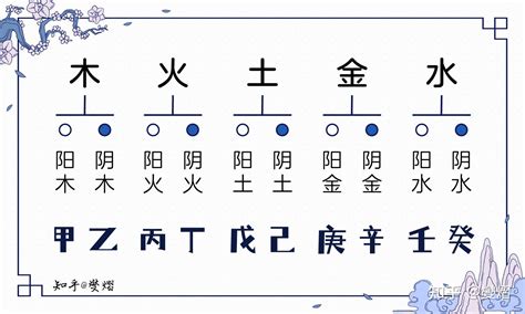 壬水乙木|基础知识︱十天干「乙木」之释义︱特质•契合度•十二支对应性格